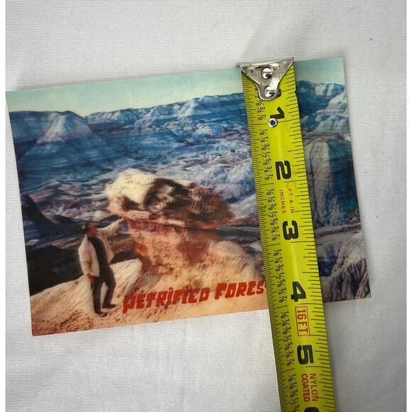 Vintage postcard Holographic Petrified Forest National Park Arizona Petley - Picture 7 of 8